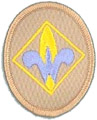 Cub Scout Troop 82